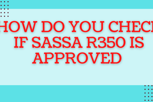 How Do You Check If SASSA R350 Is Approved 202
