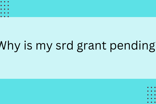Why is my srd grant pending? SASSA SRD R350 July 2024