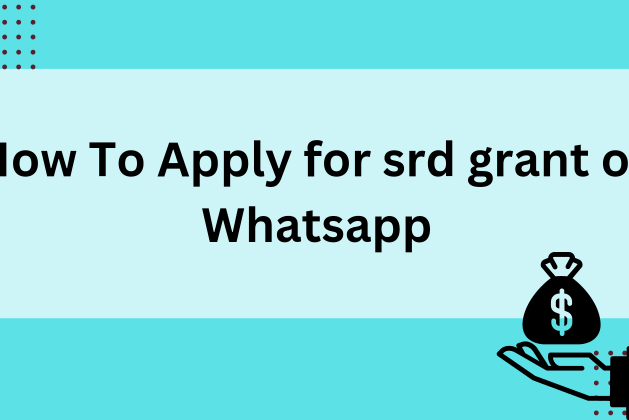 How To Apply for SRD R350 Grant on WhatsApp 2024