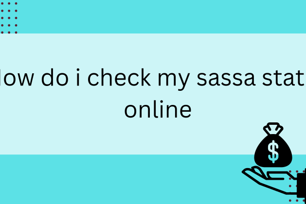How do i check my sassa status online May 2024