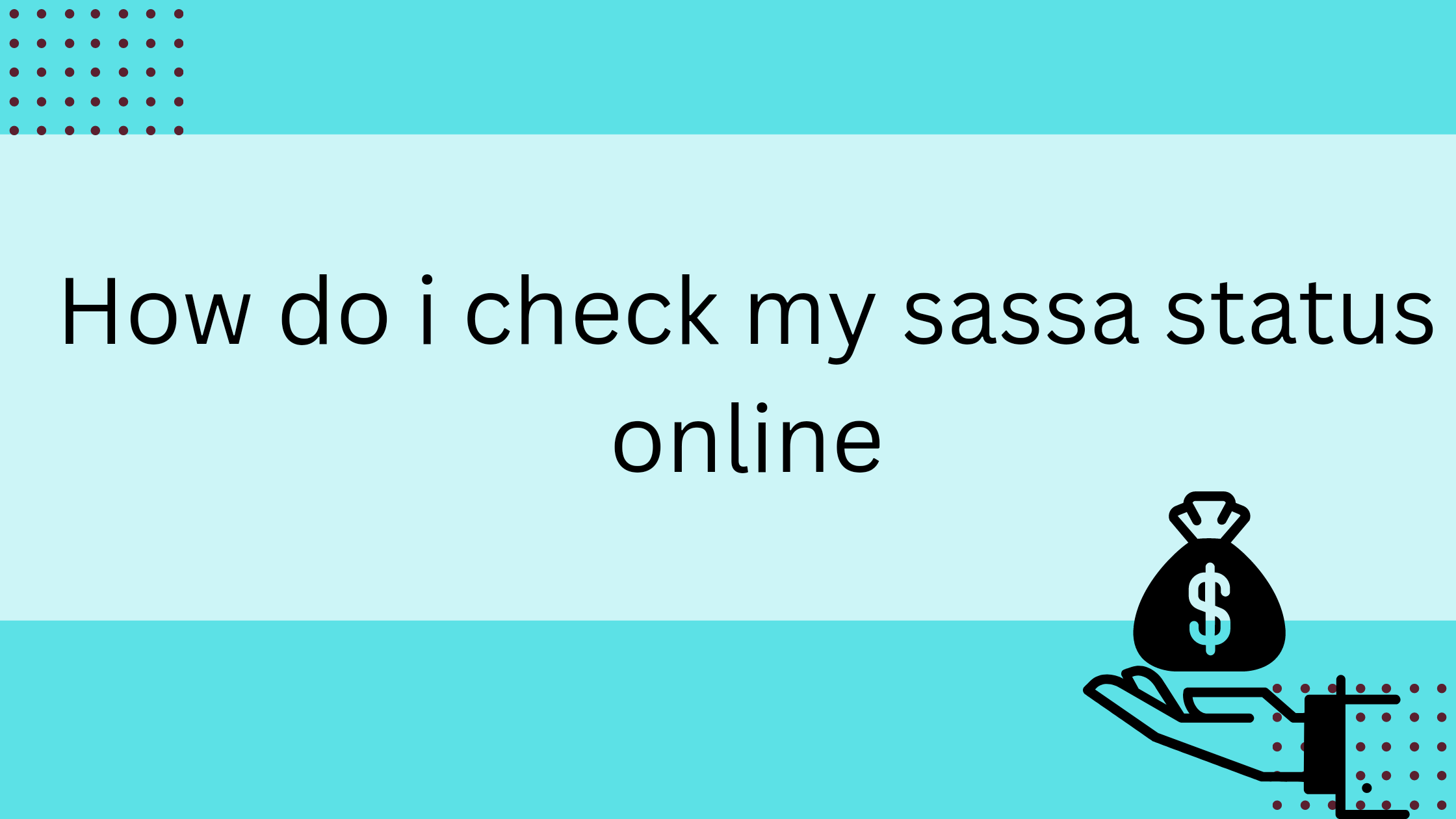How do i check my sassa status online