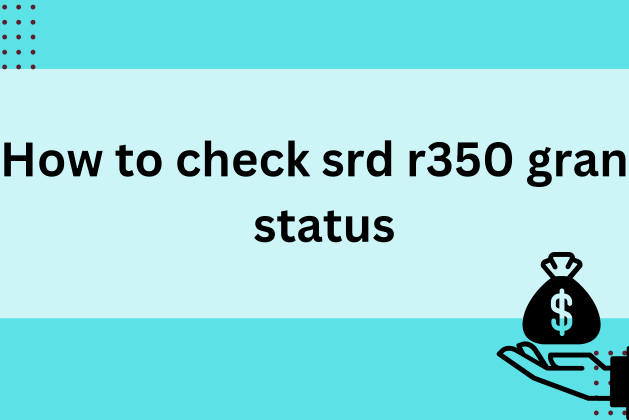 How To Check SRD R350 GRANT Status May 2024