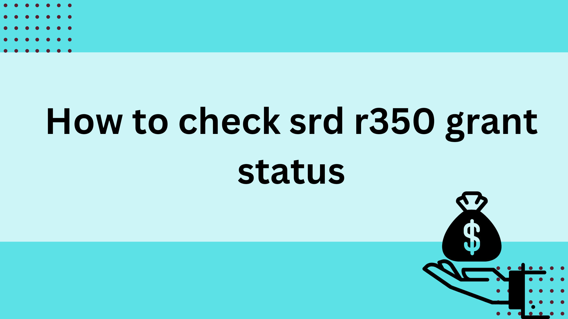 How to check srd r350 grant status