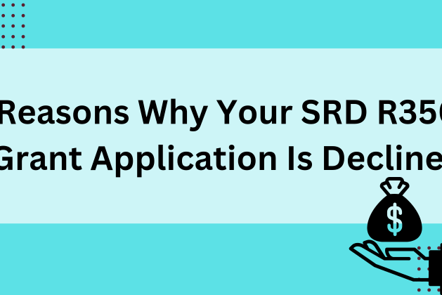 Reasons Why Your SRD R350 Grant Application Is Declined July 2024