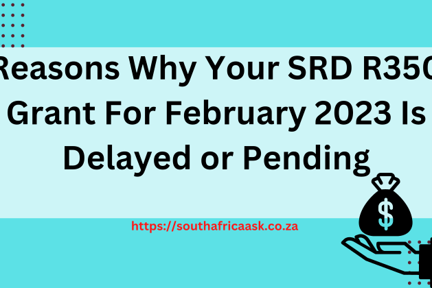 Reasons Why Your SRD R350 Grant For February 2023 Is Delayed or Pending