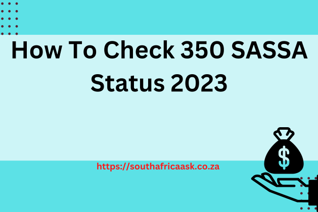 How To Check 350 SASSA Status 2023