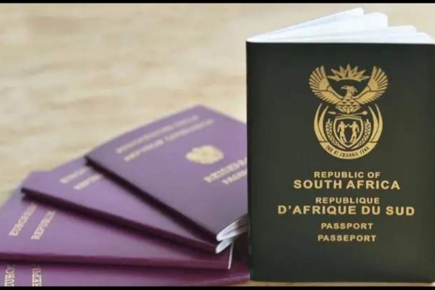 Apply for Your South African ID or Passport Online Today
