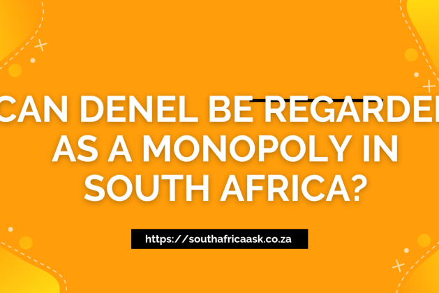 Can Denel be Regarded as a Monopoly in South Africa?