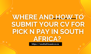 Where And How to Submit Your CV for Pick n Pay in South Africa?
