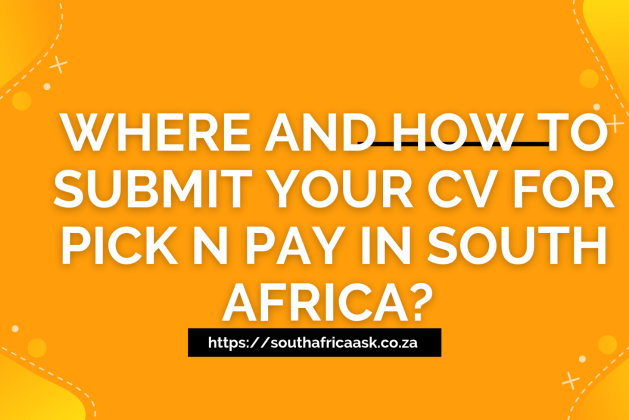 Where And How to Submit Your CV for Pick n Pay in South Africa?