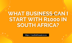 What Business Can I Start With R1000 in South Africa? 10 Ideas Identified