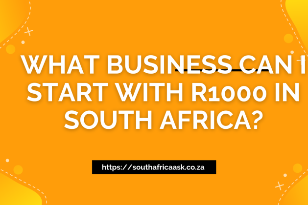 What Business Can I Start With R1000 in South Africa? 10 Ideas Identified